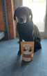 1 sachet de biscuit