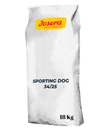 Sporting Dog