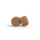 25 kg