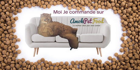 commande chez Amok Pet Food